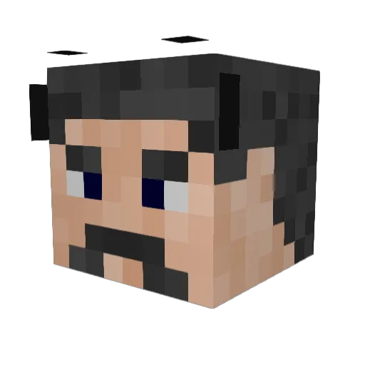 Tingussy Minecraft avatar head, 3D render
