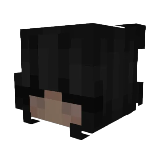 TinhTrung Minecraft avatar head, 3D render