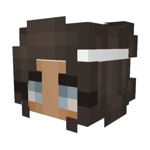 Tiniwiner Minecraft avatar head, 3D render