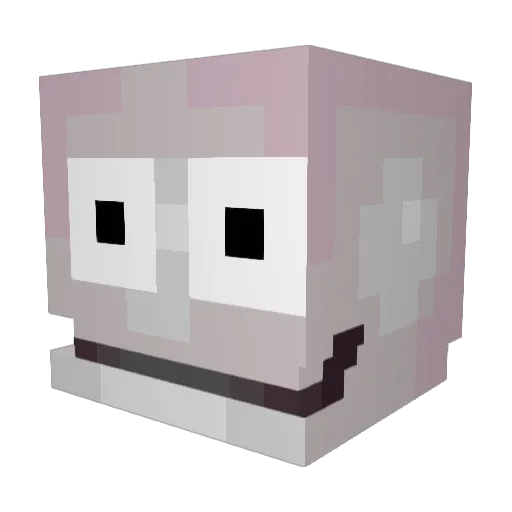 TinjaNoytle Minecraft avatar head, 3D render