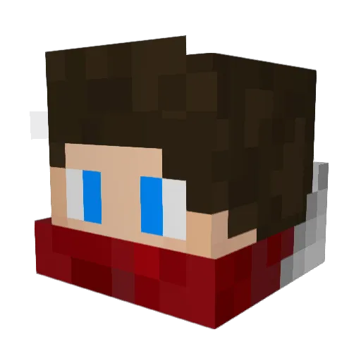 Tinji Minecraft avatar head, 3D render