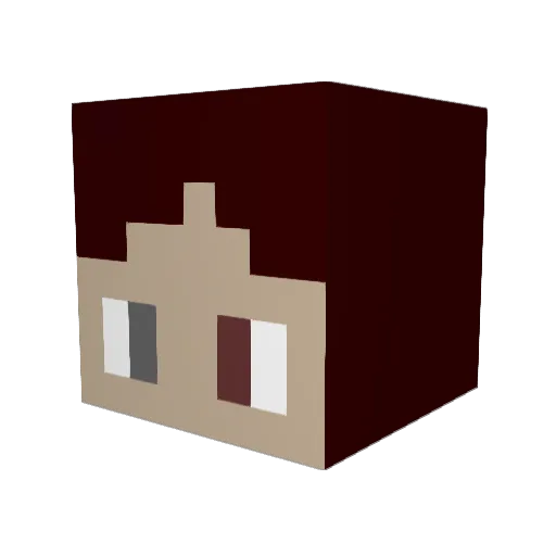 Tink192 Minecraft avatar head, 3D render