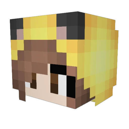 TinkC Minecraft avatar head, 3D render