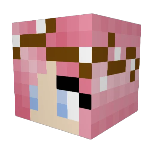 Tink_eve Minecraft avatar head, 3D render