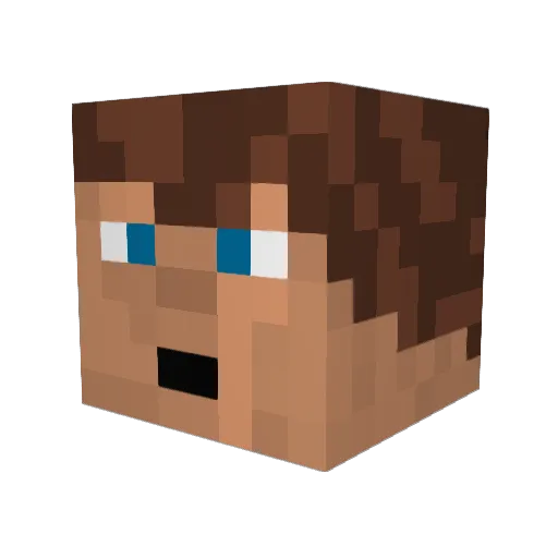 Tinker123 Minecraft avatar head, 3D render