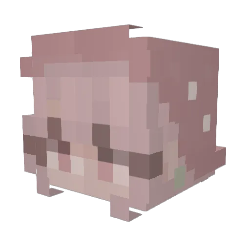 Tinker7291 Minecraft avatar head, 3D render