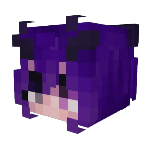 Tinkerbell52 Minecraft avatar head, 3D render