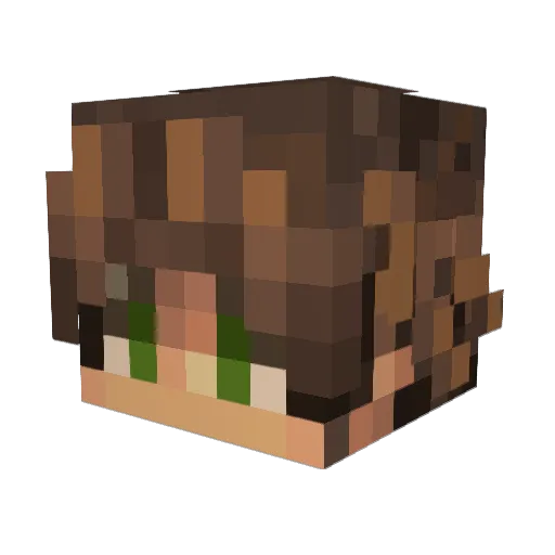 Tinkercoot Minecraft avatar head, 3D render