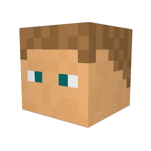 TinkererZen Minecraft avatar head, 3D render