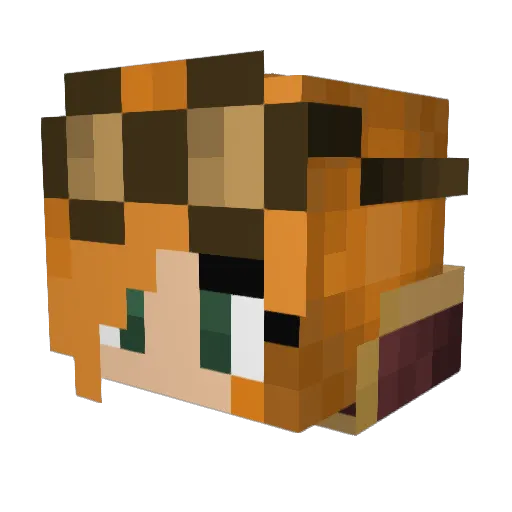Tinkerzone Minecraft avatar head, 3D render