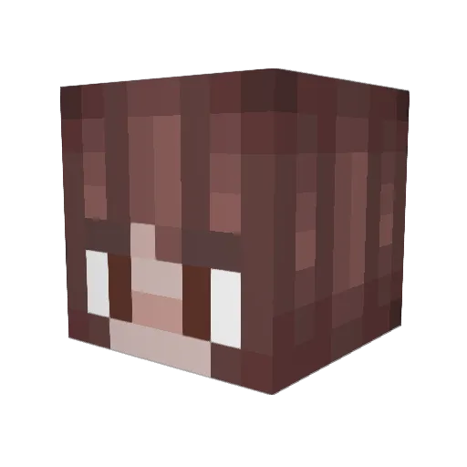 Tinket Minecraft avatar head, 3D render