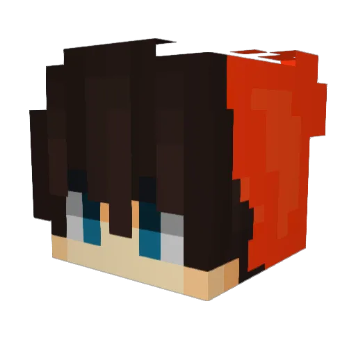 TinkoBinko Minecraft avatar head, 3D render