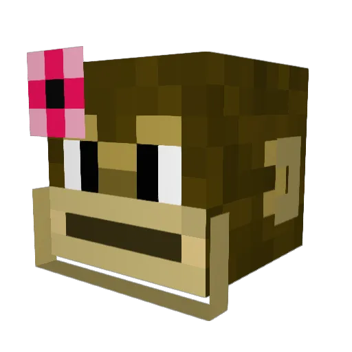 Tinkster21 Minecraft avatar head, 3D render