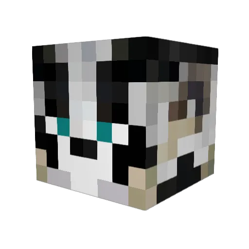 Tinky25 Minecraft avatar head, 3D render