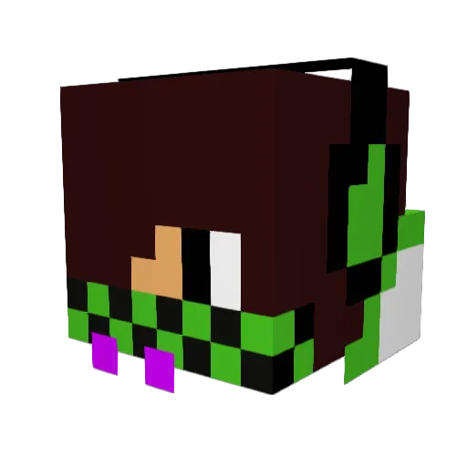 Tinkytom9 Minecraft avatar head, 3D render