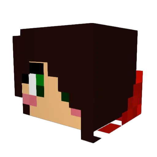 Tinkyz Minecraft avatar head, 3D render