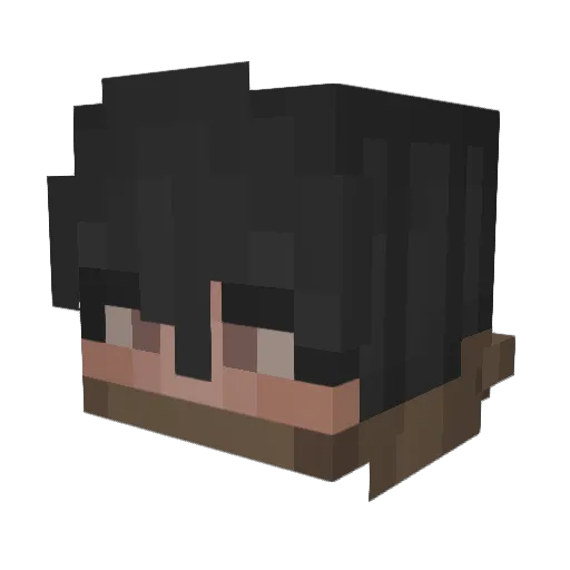 TinnEYE Minecraft avatar head, 3D render