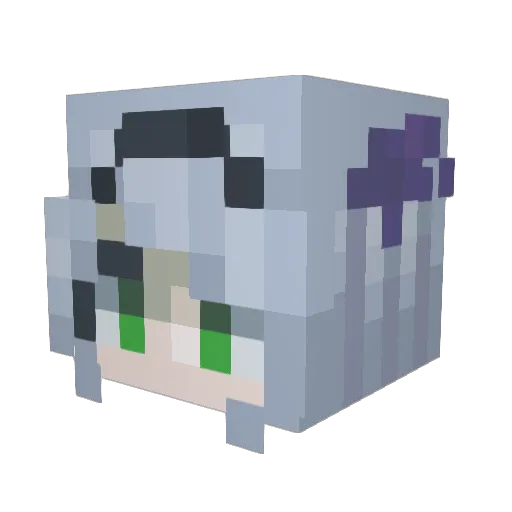 Tinn___ Minecraft avatar head, 3D render