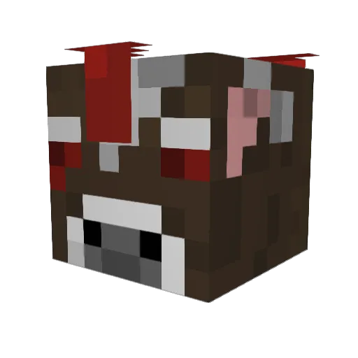 Tinner_Canner Minecraft avatar head, 3D render