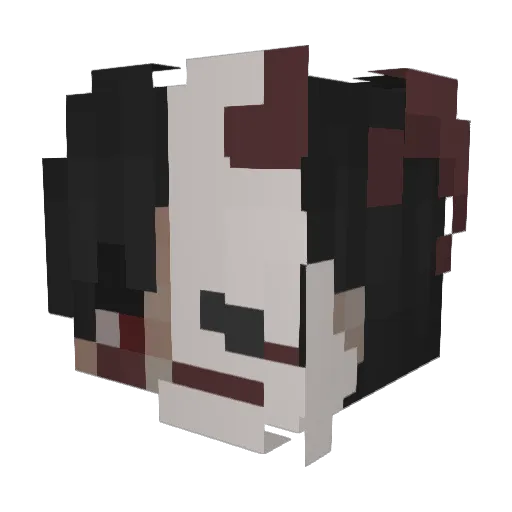 Tinni_ Minecraft avatar head, 3D render