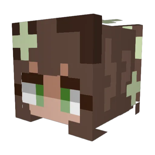 TinnyFish Minecraft avatar head, 3D render