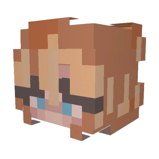 Tinnydra_x Minecraft avatar head, 3D render