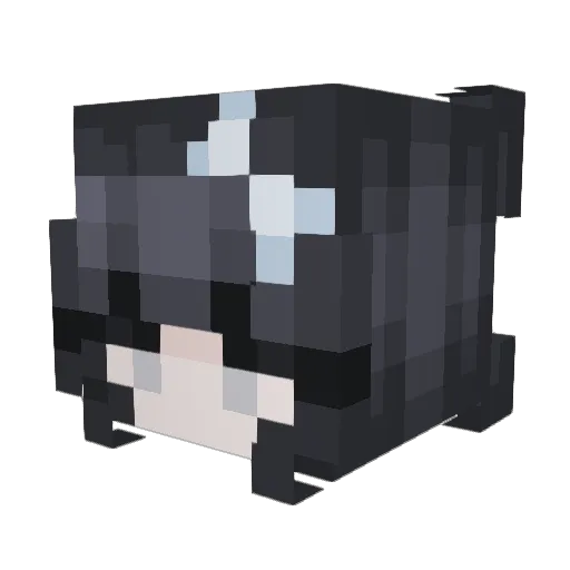 Tino0105 Minecraft avatar head, 3D render
