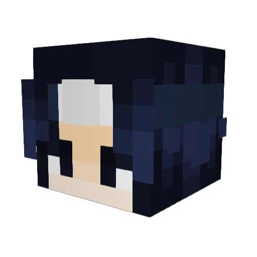Tinop2716 Minecraft avatar head, 3D render