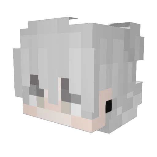 Tinosn Minecraft avatar head, 3D render
