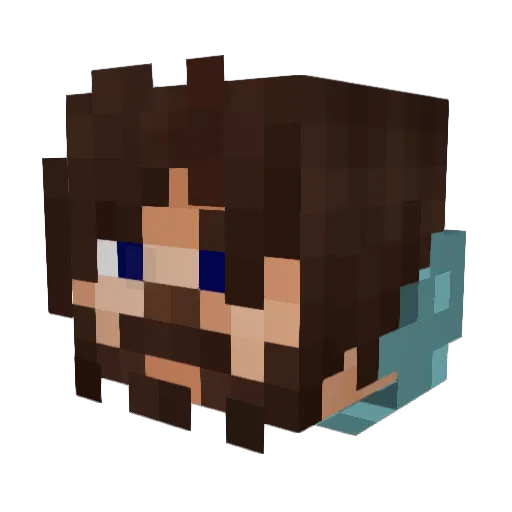 Tinspa Minecraft avatar head, 3D render
