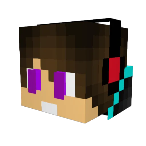 Tinsuno Minecraft avatar head, 3D render