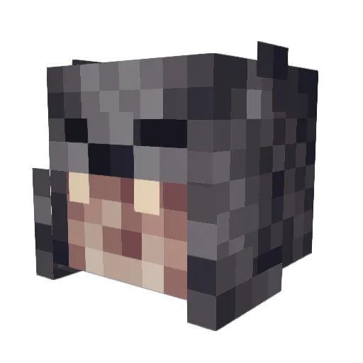 Tintin200 Minecraft avatar head, 3D render