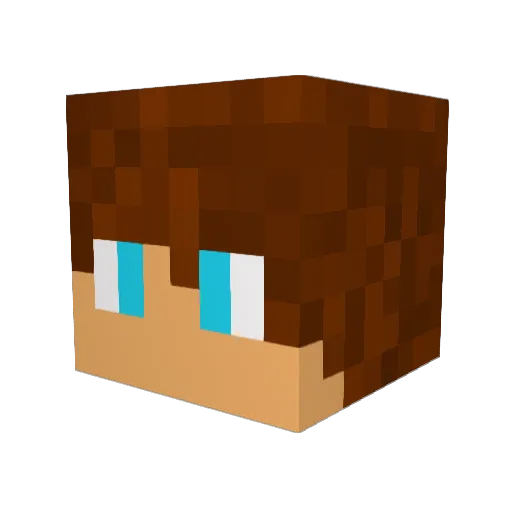 Tintin31qg Minecraft avatar head, 3D render