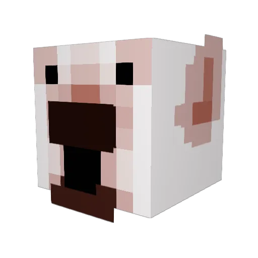 TintinEmma Minecraft avatar head, 3D render