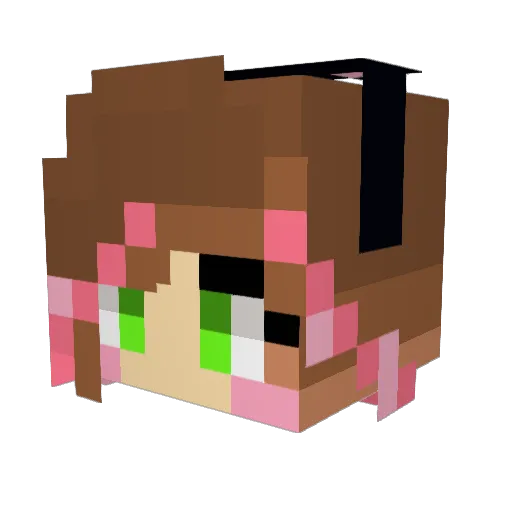 Tintingcat Minecraft avatar head, 3D render