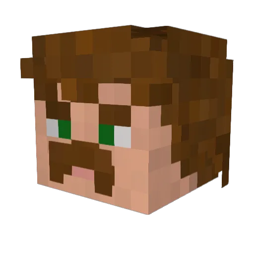 Tintoman Minecraft avatar head, 3D render