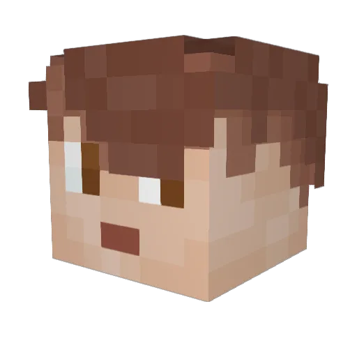 Tinturtle11 Minecraft avatar head, 3D render