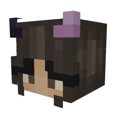 Tiny1Rachel Minecraft avatar head, 3D render