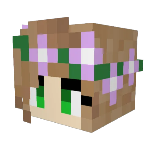 Tiny2029 Minecraft avatar head, 3D render
