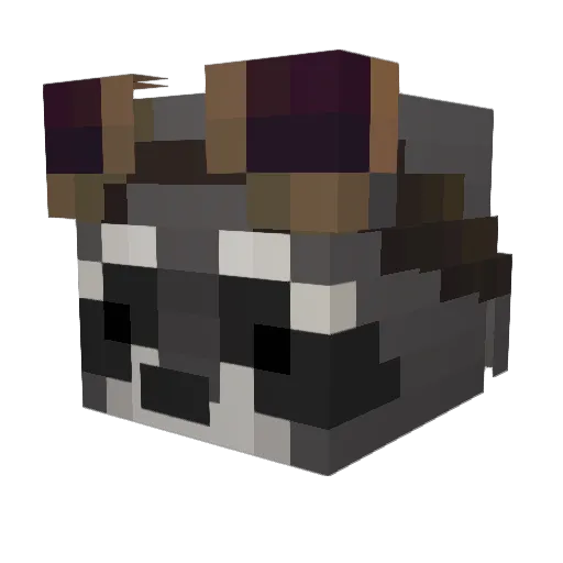 Tiny305 Minecraft avatar head, 3D render