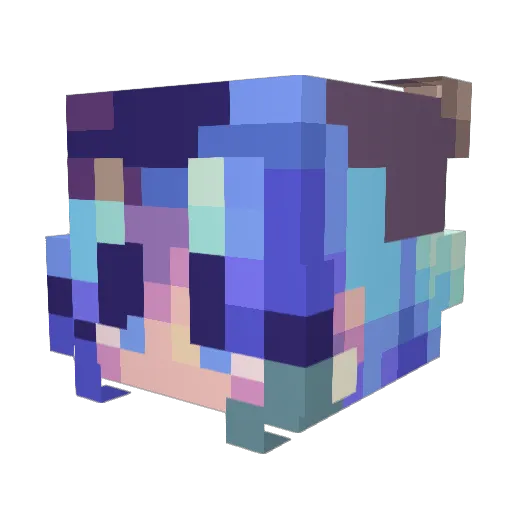 Tiny4866 Minecraft avatar head, 3D render