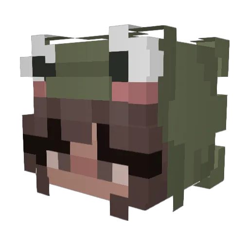 TinyASTROOIIDDD Minecraft avatar head, 3D render