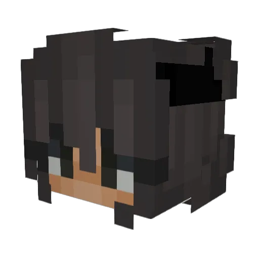 TinyAsian1009 Minecraft avatar head, 3D render