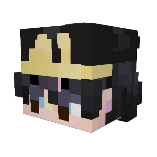 TinyC0ckTerry Minecraft avatar head, 3D render