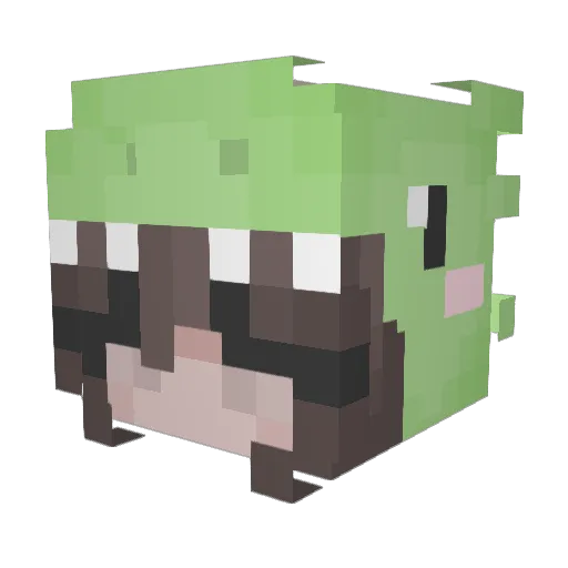 TinyCarrotPatch Minecraft avatar head, 3D render