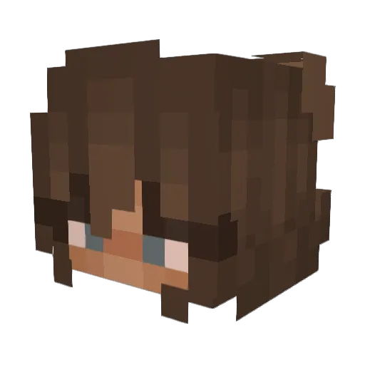 TinyChip27 Minecraft avatar head, 3D render