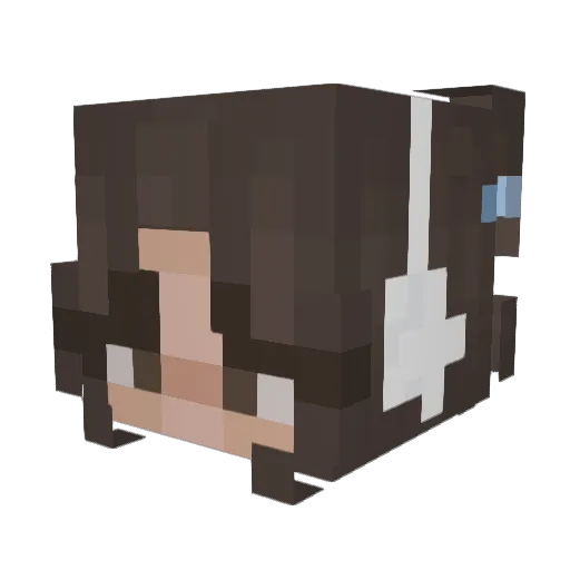TinyDancer005 Minecraft avatar head, 3D render