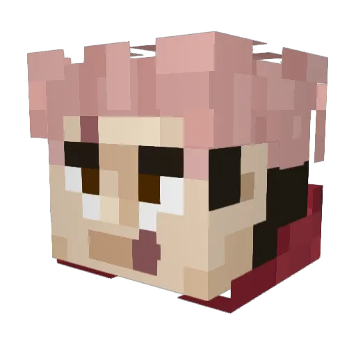 TinyDane09 Minecraft avatar head, 3D render