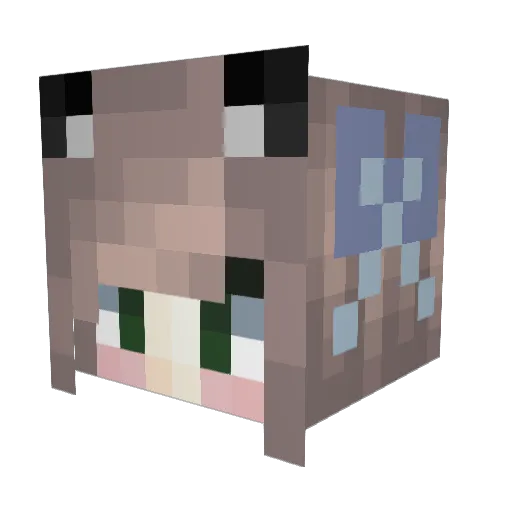 TinyDevil2002 Minecraft avatar head, 3D render
