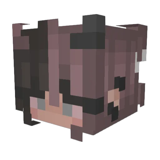 TinyDisasters Minecraft avatar head, 3D render